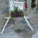 Apolonia ホームステイ *
