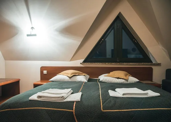 Apolonia זקופאנה