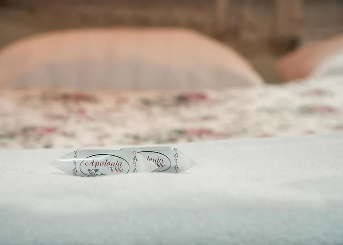 阿波罗尼亚威拉旅馆 民宿 *