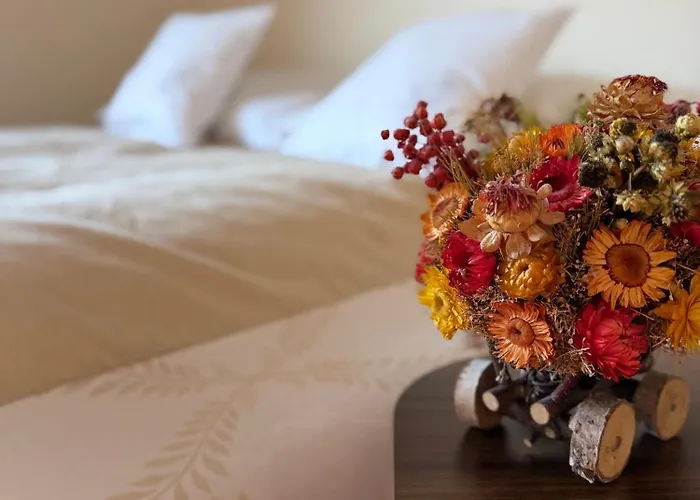 Apolonia זקופאנה