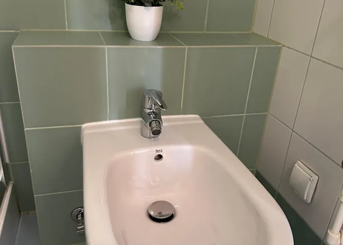 Apolonia זקופאנה