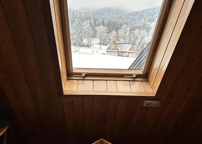 Apolonia זקופאנה